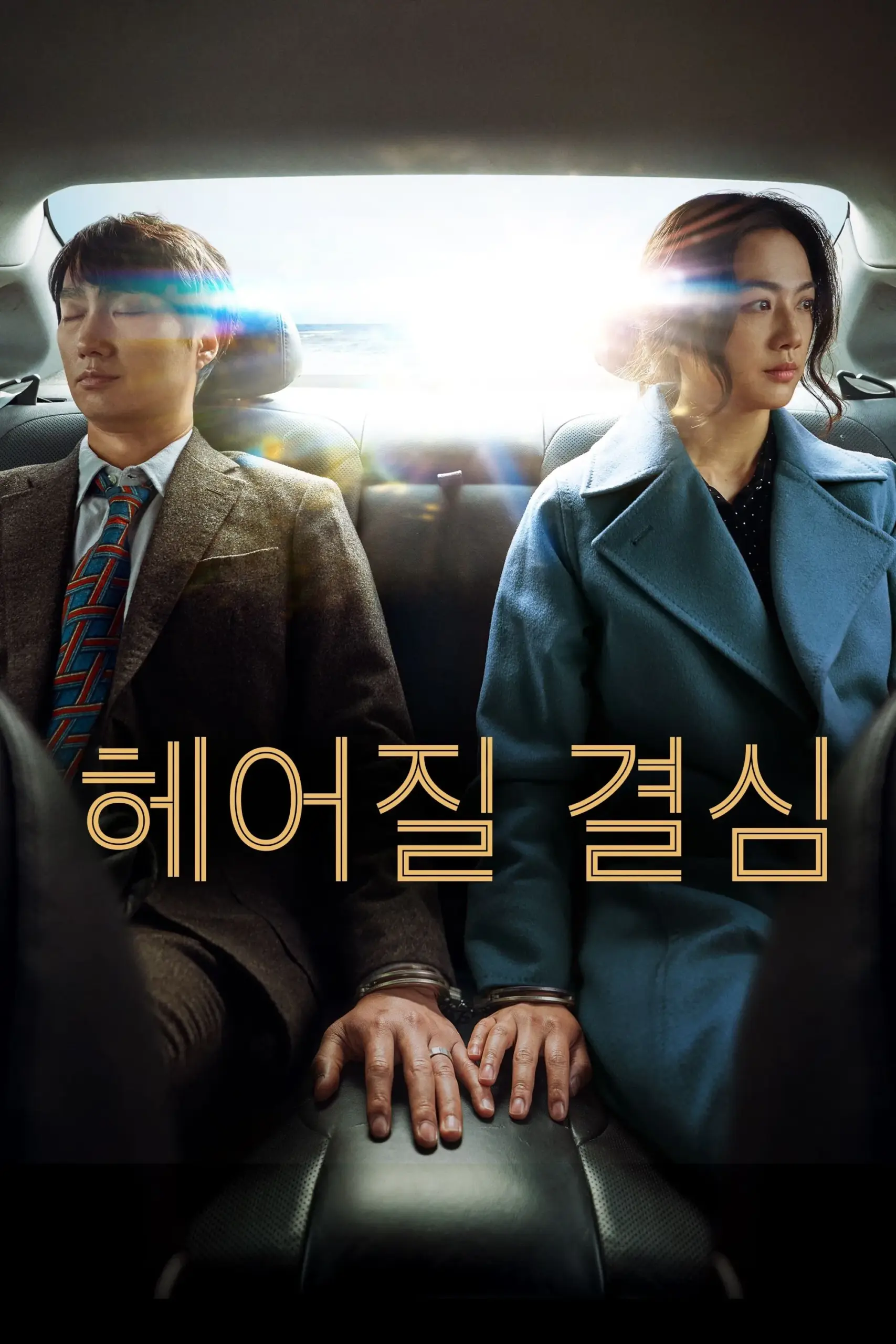 영화 헤어질 결심 포스터 (2022)